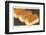 White Bread-Found Image Press-Framed Photographic Print