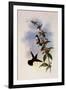 White-Breasted Emerald, Thaumatias Candidus-John Gould-Framed Giclee Print