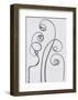 White Bryony-Karl Blossfeldt-Framed Art Print