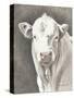 White Bull-Gwendolyn Babbitt-Stretched Canvas