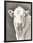 White Bull-Gwendolyn Babbitt-Framed Art Print