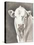 White Bull-Gwendolyn Babbitt-Stretched Canvas