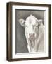 White Bull-Gwendolyn Babbitt-Framed Art Print