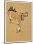 White Bulldog Approaches a Docile-Looking Cow in a Field-Cecil Aldin-Mounted Art Print