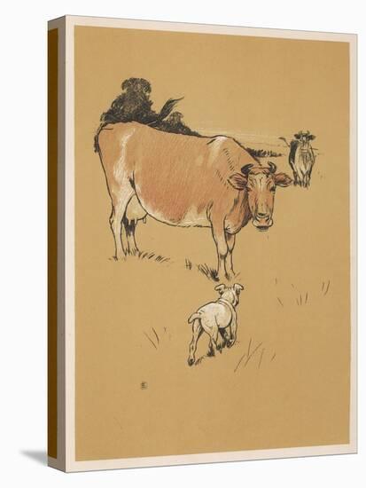 White Bulldog Approaches a Docile-Looking Cow in a Field-Cecil Aldin-Stretched Canvas