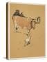 White Bulldog Approaches a Docile-Looking Cow in a Field-Cecil Aldin-Stretched Canvas