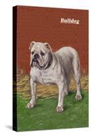 White Bulldog-null-Stretched Canvas