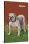 White Bulldog-null-Stretched Canvas