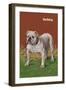 White Bulldog-null-Framed Art Print