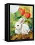 White Bunny Mom & Baby-sylvia pimental-Framed Stretched Canvas