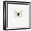 White Butterfly-PhotoINC-Framed Premium Photographic Print