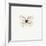 White Butterfly-PhotoINC-Framed Photographic Print