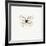 White Butterfly-PhotoINC-Framed Photographic Print