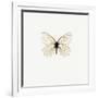 White Butterfly-PhotoINC-Framed Photographic Print