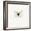 White Butterfly-PhotoINC-Framed Photographic Print