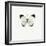 White Butterfly-PhotoINC-Framed Photographic Print