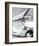 White Cadillac-Richard James-Framed Giclee Print