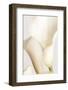 White Calla Lily No 2-1x Studio III-Framed Photographic Print