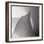 White Callas IV-Monika Burkhart-Framed Photographic Print