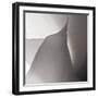 White Callas IV-Monika Burkhart-Framed Photographic Print