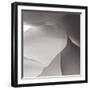 White Callas V-Monika Burkhart-Framed Photographic Print