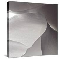 White Callas V-Monika Burkhart-Stretched Canvas