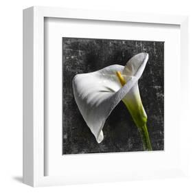 White Callas-null-Framed Art Print