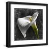 White Callas-null-Framed Art Print