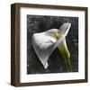 White Callas-null-Framed Art Print