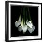 White Callas-Magda Indigo-Framed Premium Photographic Print