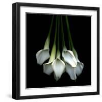 White Callas-Magda Indigo-Framed Photographic Print