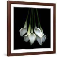 White Callas-Magda Indigo-Framed Photographic Print