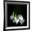 White Callas-Magda Indigo-Framed Photographic Print