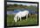 White Camargue Horse, Mare with Brown Foal, Camargue, France, April 2009-Allofs-Framed Photographic Print