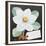 White Camelia-Jennifer Abbott-Framed Giclee Print