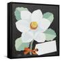 White Camelia-Jennifer Abbott-Framed Stretched Canvas