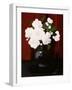 White Camelias-James Stuart Park-Framed Giclee Print