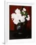 White Camelias-James Stuart Park-Framed Giclee Print