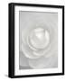 White camellia-Clive Nichols-Framed Photographic Print