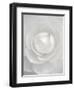 White camellia-Clive Nichols-Framed Photographic Print