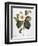 White Camellia-null-Framed Giclee Print