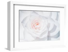 White Camellia-Philippe Sainte-Laudy-Framed Photographic Print