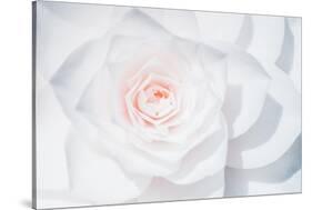 White Camellia-Philippe Sainte-Laudy-Stretched Canvas