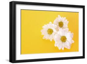 White Camomile on Yellow Background-Yastremska-Framed Photographic Print