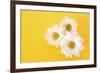 White Camomile on Yellow Background-Yastremska-Framed Photographic Print