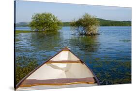 White Canoe in a Lake-Ali Kabas-Stretched Canvas