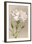White Carnation-null-Framed Art Print