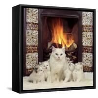 White Cat and Kittens in Front of a Log Fire-Mark Taylor-Framed Stretched Canvas