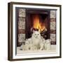 White Cat and Kittens in Front of a Log Fire-Mark Taylor-Framed Photographic Print