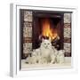 White Cat and Kittens in Front of a Log Fire-Mark Taylor-Framed Photographic Print